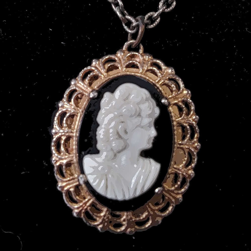 Beautiful cameo on a long chain